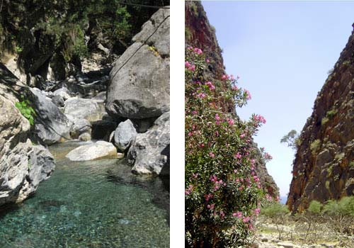 Randonnées en Crète: Les gorges d'aradena et Samaria